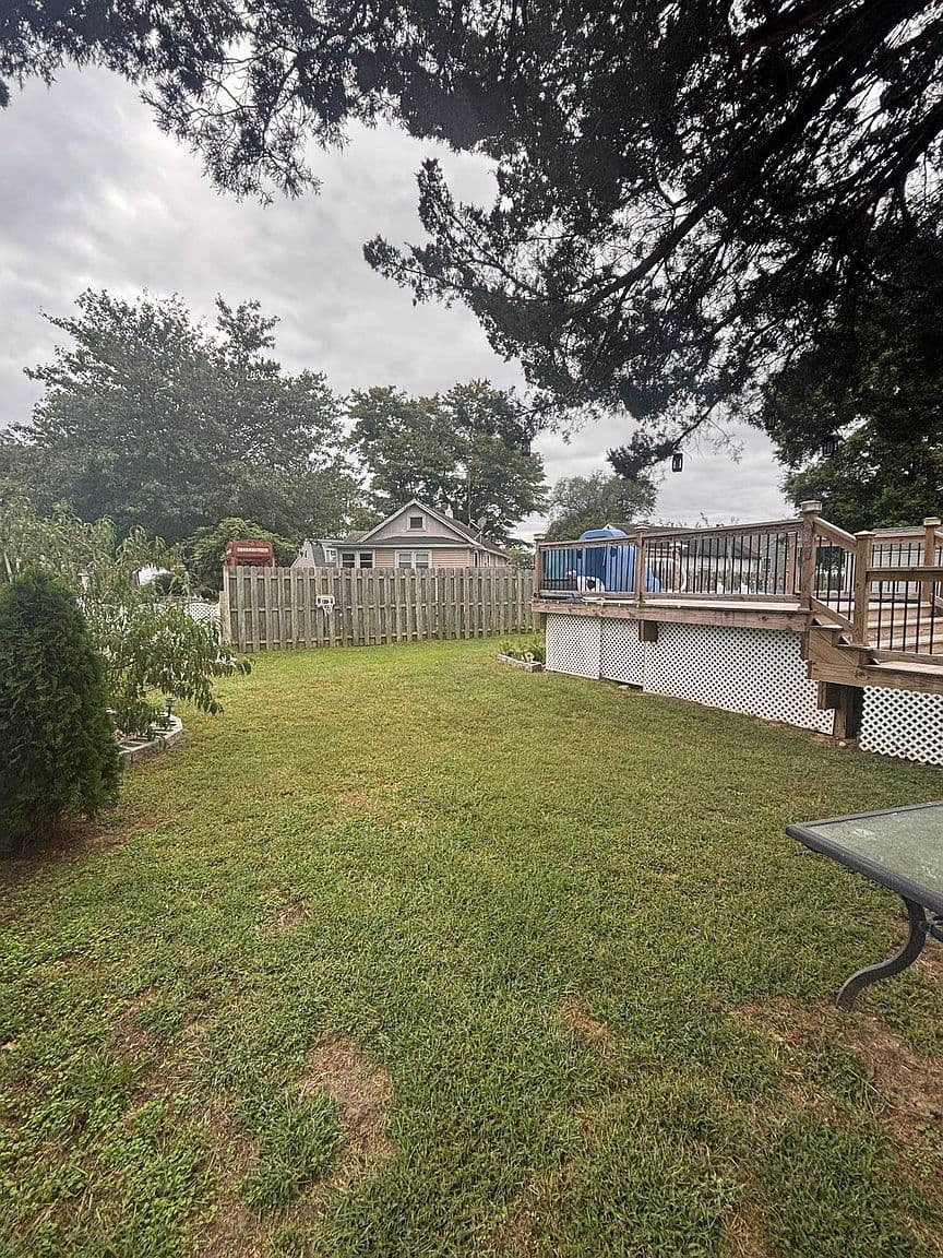 More photos