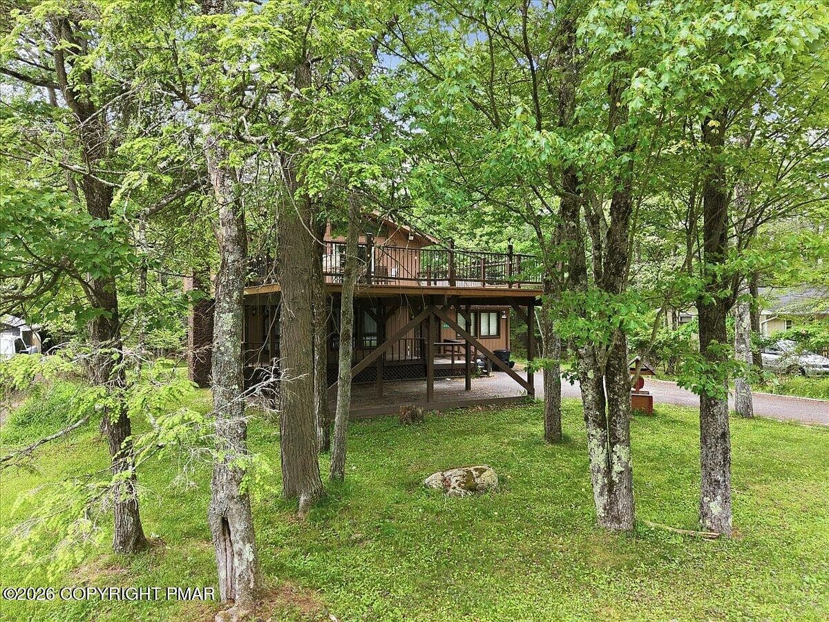 More photos