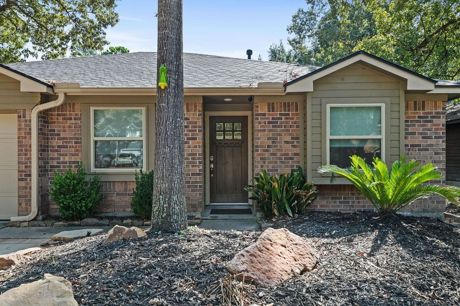 More photos