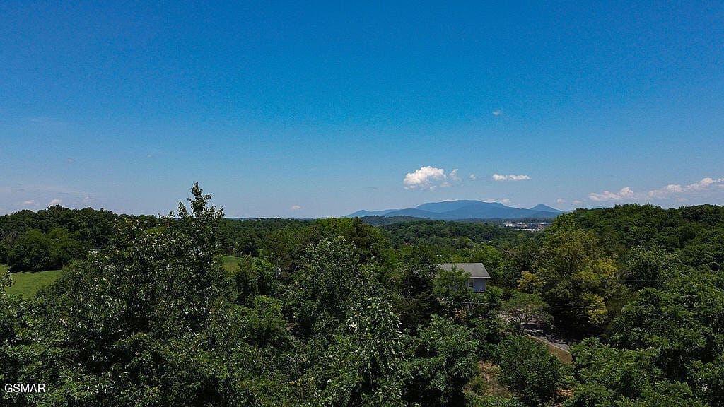 More photos