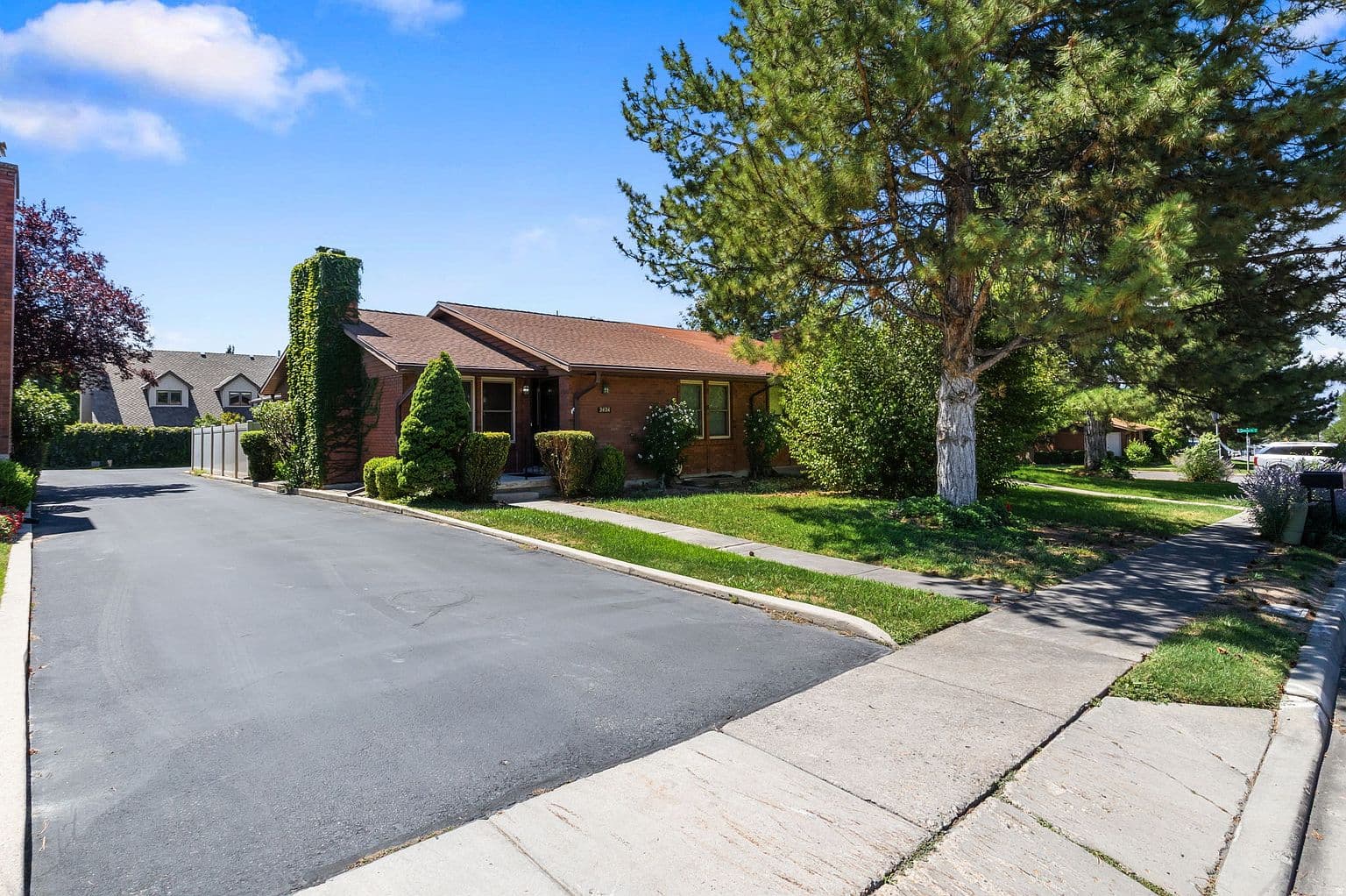 More photos