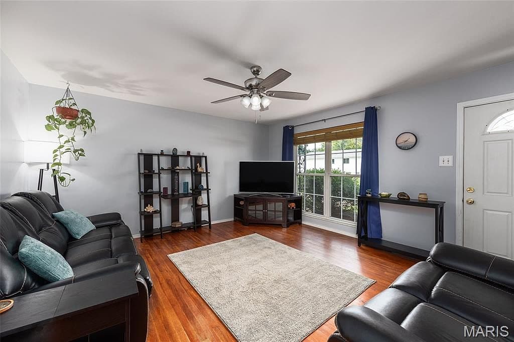 More photos