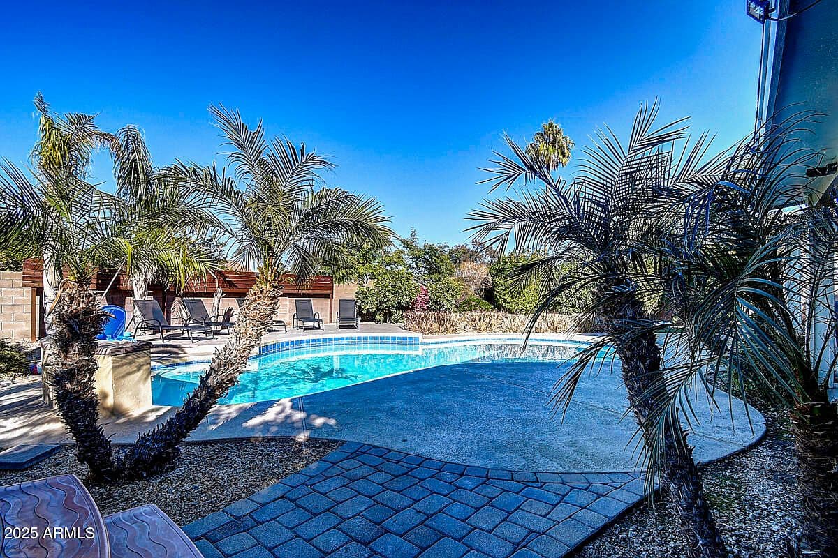 More photos