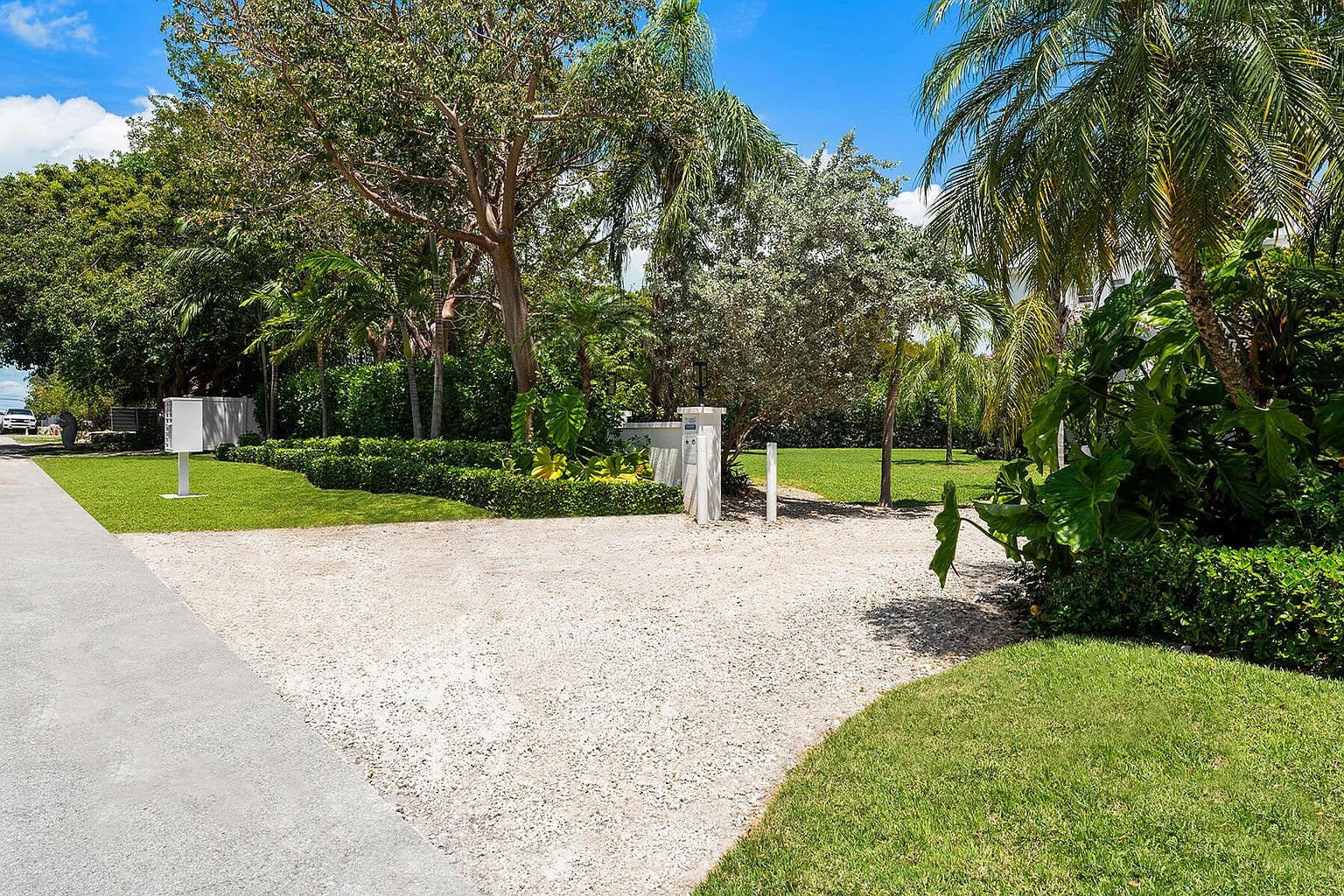 More photos