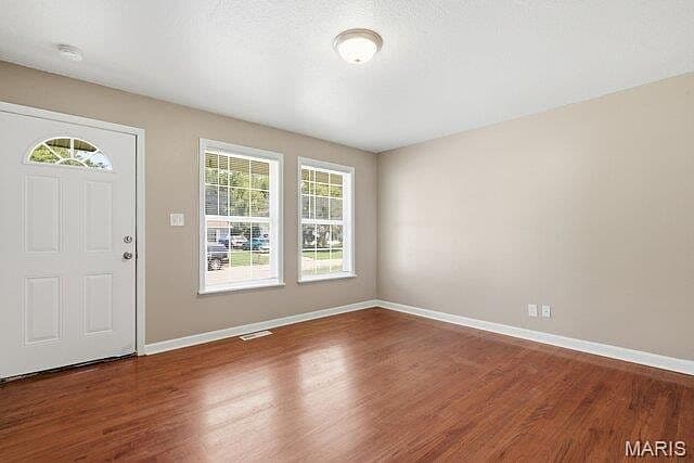 More photos