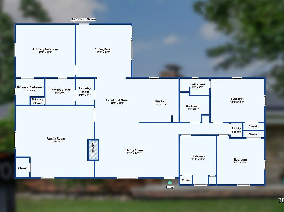 More photos
