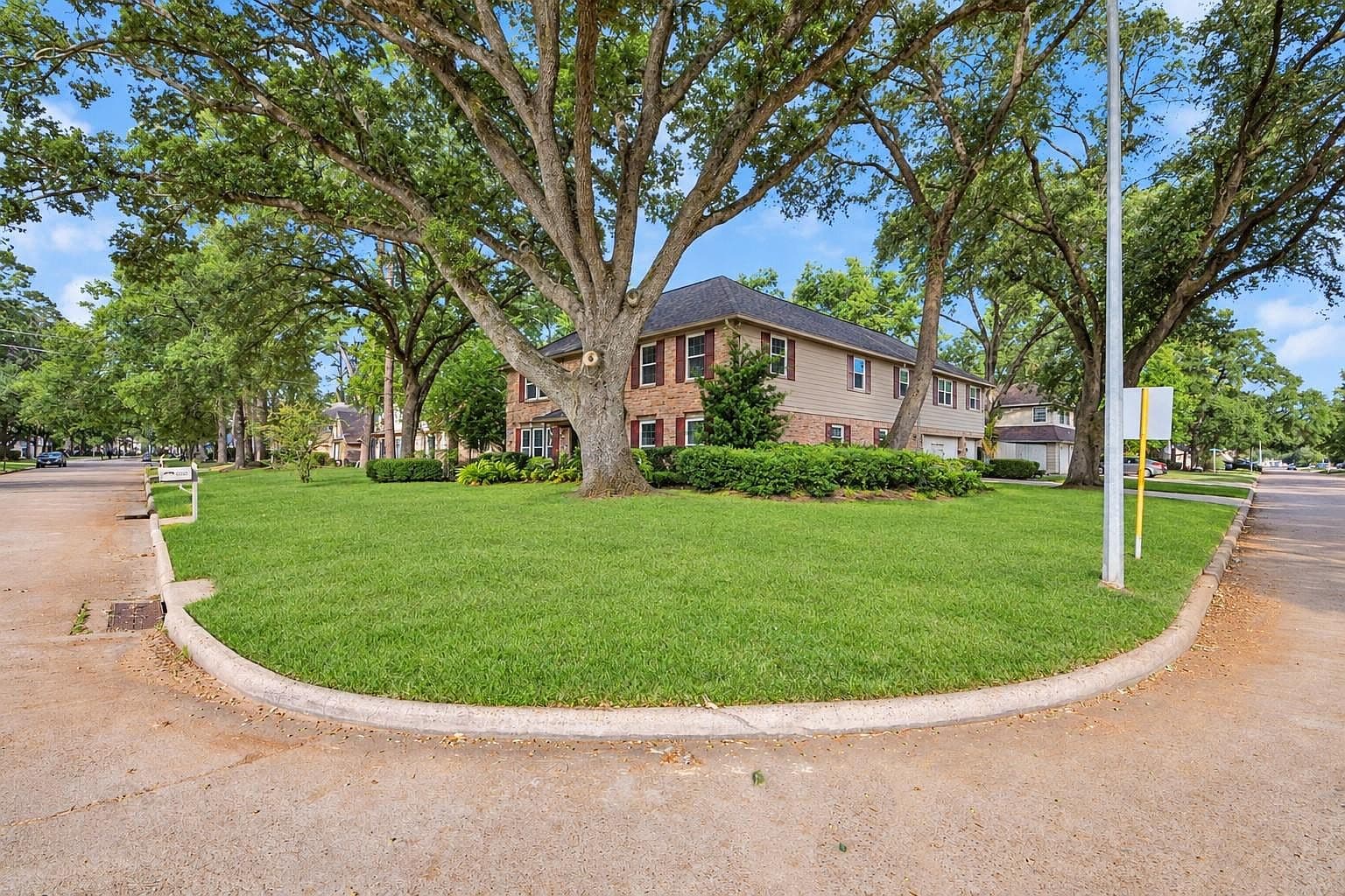 More photos