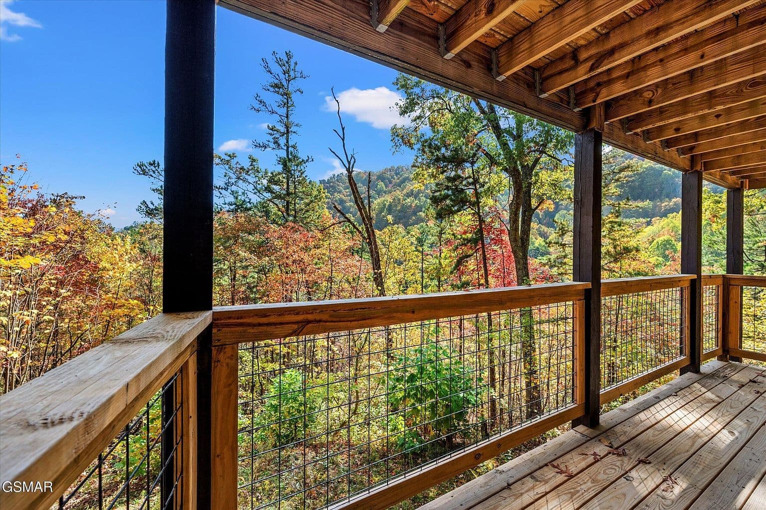 More photos