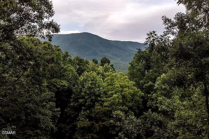 3436 Quail Way - Image 2