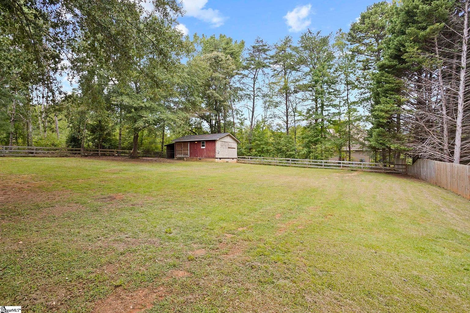 More photos