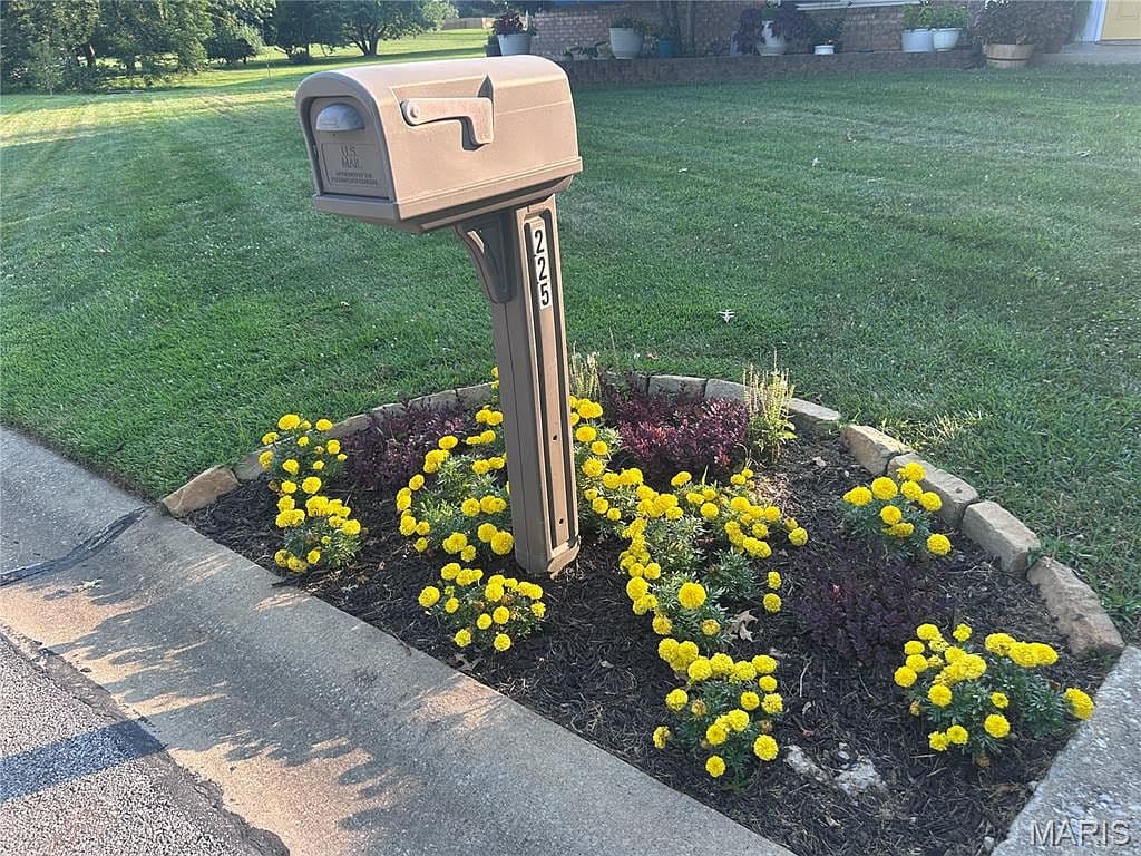 225 Timberidge Dr - Image 3