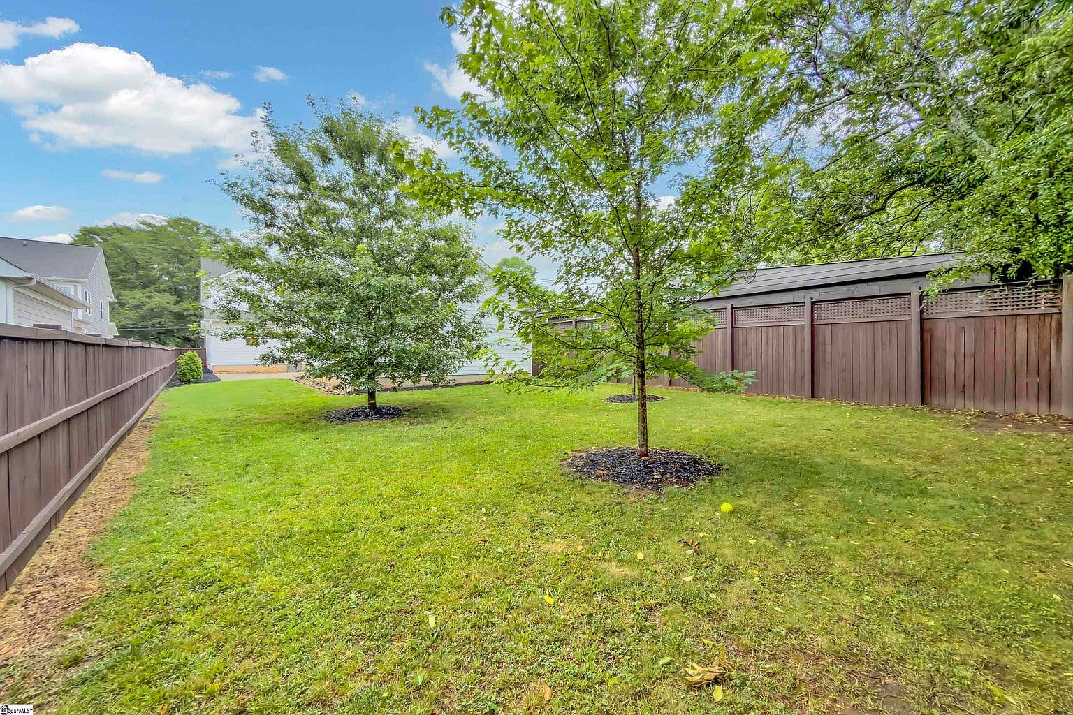 More photos